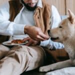 Why a Raw Diet is the Natural Choice for Your Dog's Health